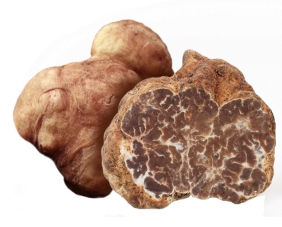 White Spring Truffle