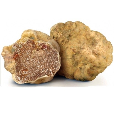 White Winter Truffle