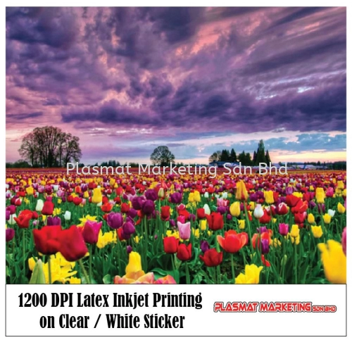 1200 DPI Latex Inkjet Printing on Clear / White Sticker