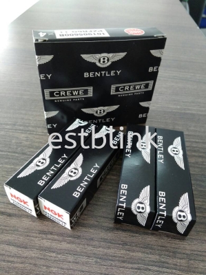 Bentley Continental GT or Flyspur Spark Plug W12