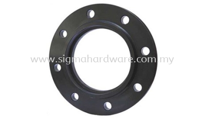 Carbon Steel Flange