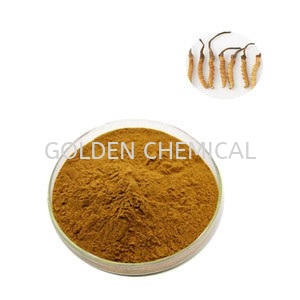 Cordycep Sinensis Extract Powder Herbal Base Malaysia, Penang Beverage, Powder, Manufacturer, Supplier | Golden Chemical Sdn Bhd