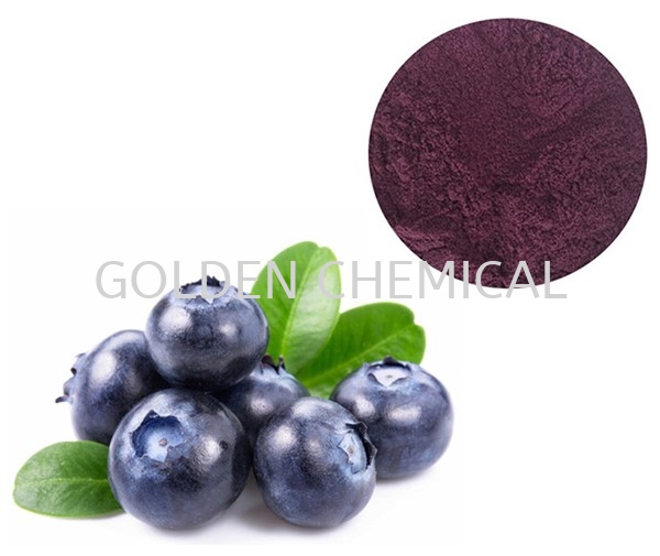 Blueberry Flavor Powder Fruity Base Malaysia, Penang Beverage, Powder, Manufacturer, Supplier | Golden Chemical Sdn Bhd
