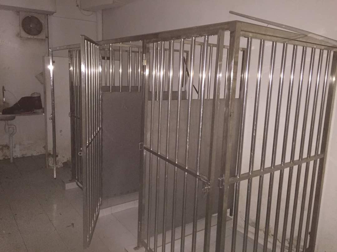 Stainless Steel Dog Cage