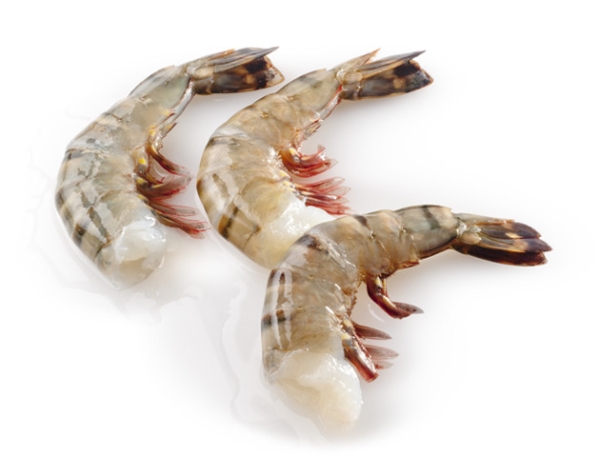 Prawn with Headless Easy Peel Crab / Prawn Selangor, Malaysia, Kuala Lumpur (KL), Batu Caves Supplier, Suppliers, Supply, Supplies | G DAILY SUPPLY SDN BHD