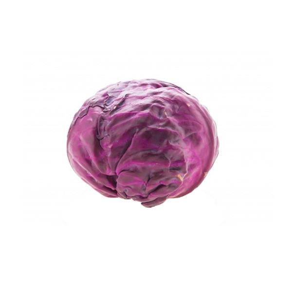 Purple Cabbage Cabbage Vegetables Selangor, Malaysia, Kuala Lumpur (KL), Batu Caves Supplier, Suppliers, Supply, Supplies | G DAILY SUPPLY SDN BHD