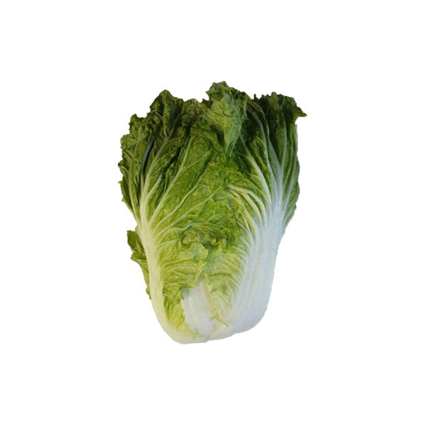 Ozon Cabbage Vegetables Selangor, Malaysia, Kuala Lumpur (KL), Batu Caves Supplier, Suppliers, Supply, Supplies | G DAILY SUPPLY SDN BHD