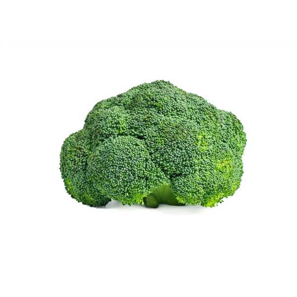 Broccoli Cruciferous Vegetables Selangor, Malaysia, Kuala Lumpur (KL), Batu Caves Supplier, Suppliers, Supply, Supplies | G DAILY SUPPLY SDN BHD