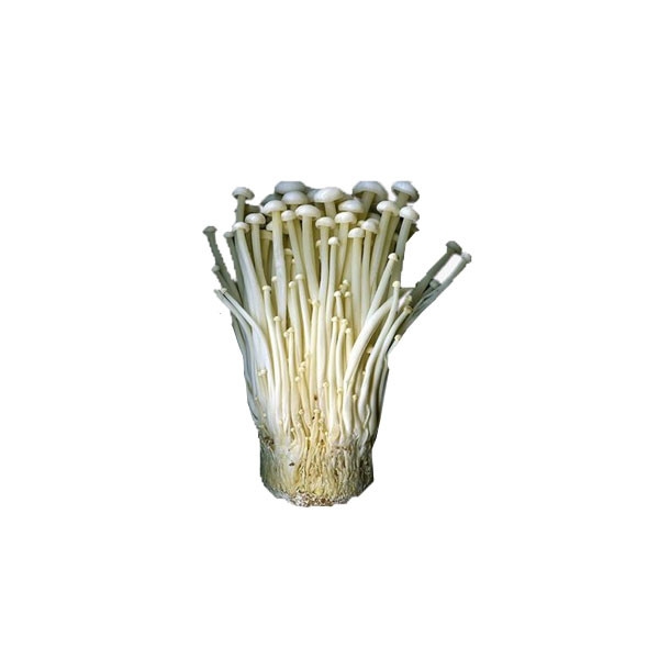 Enoki Mushroom Mushroom Vegetables Selangor, Malaysia, Kuala Lumpur (KL), Batu Caves Supplier, Suppliers, Supply, Supplies | G DAILY SUPPLY SDN BHD