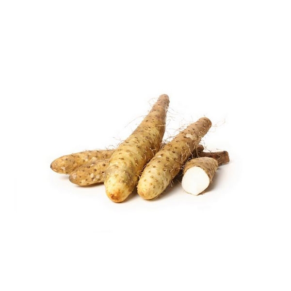 Burdock Root Tuber Vegetables Selangor, Malaysia, Kuala Lumpur (KL), Batu Caves Supplier, Suppliers, Supply, Supplies | G DAILY SUPPLY SDN BHD