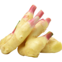 Young Ginger Root Tuber Vegetables Selangor, Malaysia, Kuala Lumpur (KL), Batu Caves Supplier, Suppliers, Supply, Supplies | G DAILY SUPPLY SDN BHD