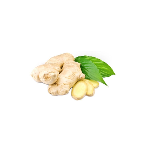 Ginger Root Tuber Vegetables Selangor, Malaysia, Kuala Lumpur (KL), Batu Caves Supplier, Suppliers, Supply, Supplies | G DAILY SUPPLY SDN BHD