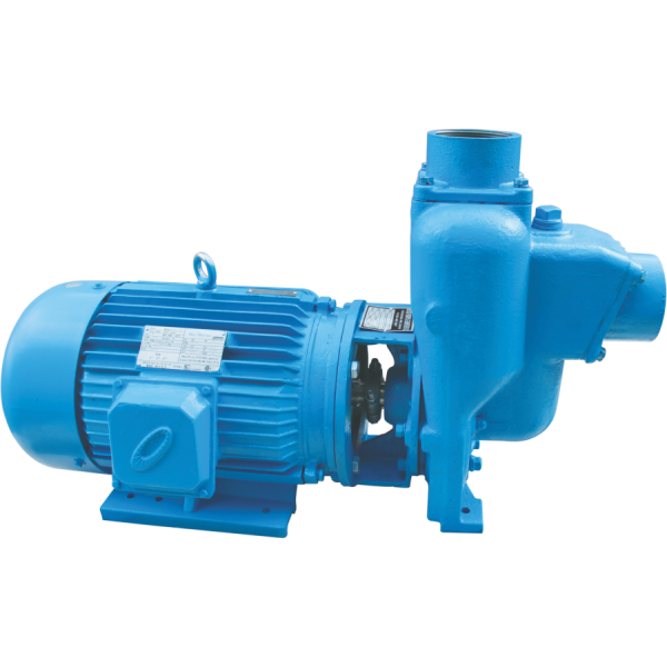 WEBSTER Self Priming Pump WEBSTER Self Priming Pump WEBSTER CENTRIFUGAL PUMP Selangor, Malaysia, Kuala Lumpur (KL), Shah Alam Supplier, Suppliers, Supply, Supplies | BYDAB INDUSTRIES SDN BHD