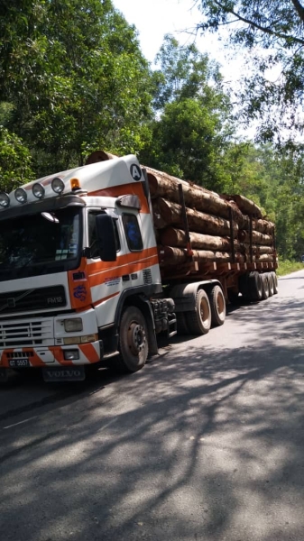  Timber Jinker Selangor, Kuala Lumpur (KL), Malaysia, Shah Alam Service | K & K Logistics Sdn Bhd