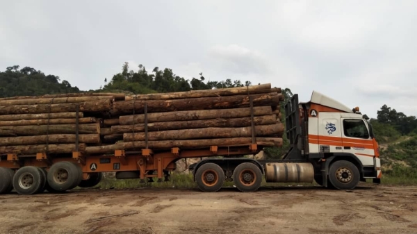 Timber Jinker Selangor, Kuala Lumpur (KL), Malaysia, Shah Alam Service | K & K Logistics Sdn Bhd