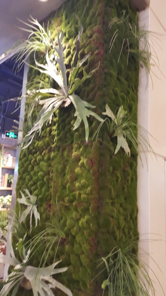  Artificial Greenwall Interior Landscaping Ideas Selangor, Malaysia, Kuala Lumpur (KL), Subang Jaya Services | Floral-s Enterprise