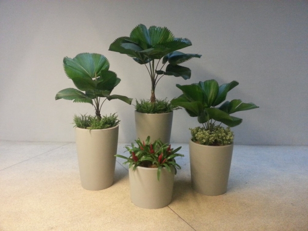  Real Potted Plants Interior Landscaping Ideas Selangor, Malaysia, Kuala Lumpur (KL), Subang Jaya Services | Floral-s Enterprise