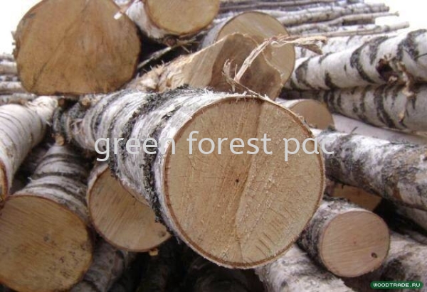 Industrial Timber Log Timber Malaysia, Johor, Segamat Manufacturer, Supplier, Supply, Supplies | Green Forest Pac Sdn Bhd