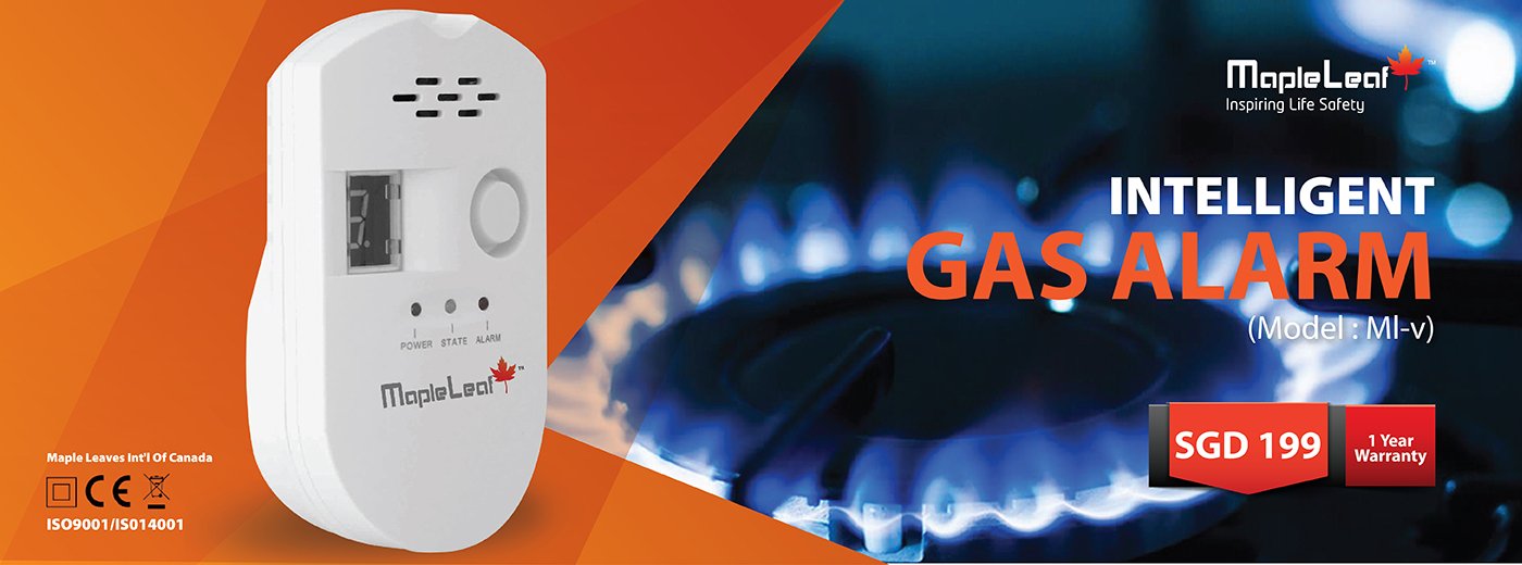 Gas Alarm (Model : ML-V)