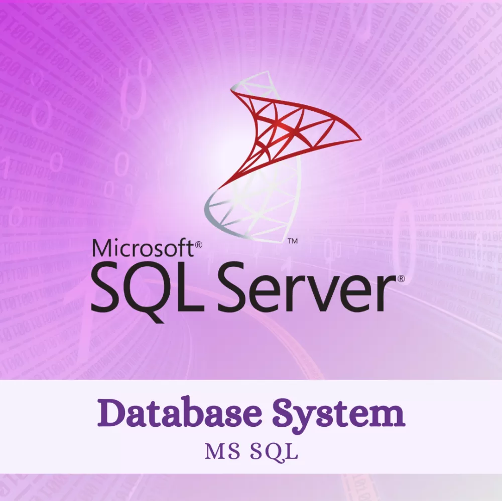 Database System (MS SQL with Reporting Services)