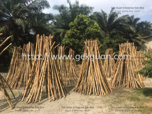 011 - RATTAN RAW MATERIAL