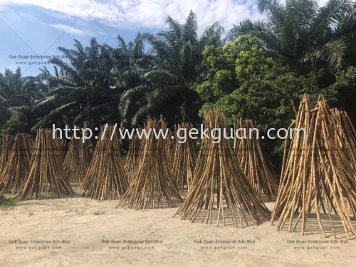 012 - RATTAN RAW MATERIAL