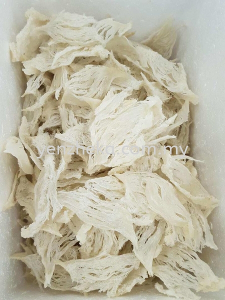 ԭյȻ    Supplier, Suppliers, Supply, Supplies | Yenzheka Birdnests Shop (Asia) Sdn Bhd