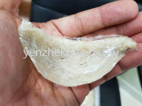 4Aװ    Supplier, Suppliers, Supply, Supplies | Yenzheka Birdnests Shop (Asia) Sdn Bhd