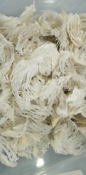  Birdnest Malaysia, Selangor, Kuala Lumpur (KL), Klang Supplier, Suppliers, Supply, Supplies | Yenzheka Birdnests Shop (Asia) Sdn Bhd