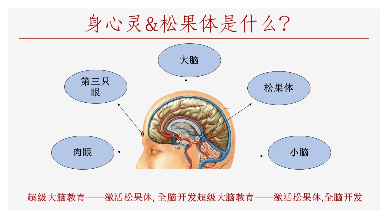 身心灵 & 松果体
