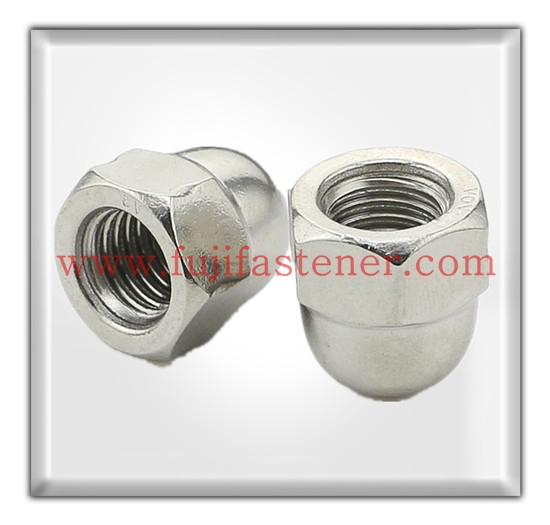 Cap Nut Nut Malaysia, Selangor, Kuala Lumpur (KL), Shah Alam Manufacturer, Supplier, Supply, Supplies | Fuji Fastener Hardware Centre Sdn Bhd