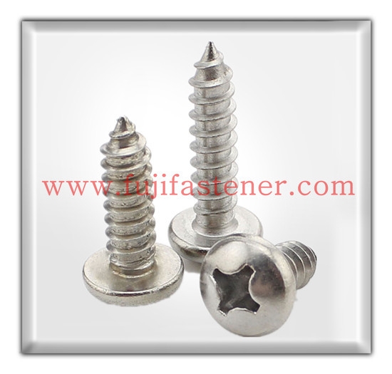 Pan Head Self Tapping Malaysia, Selangor, Kuala Lumpur (KL), Shah Alam Manufacturer, Supplier, Supply, Supplies | Fuji Fastener Hardware Centre Sdn Bhd