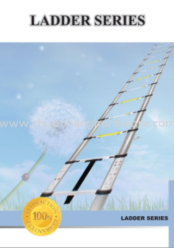 aluminium heavy duty ladder