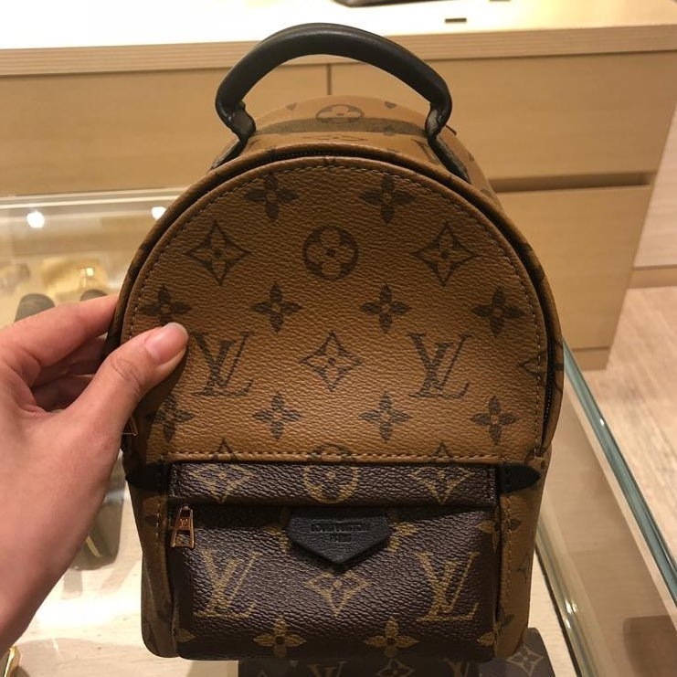 Brand New Louis Vuitton Reverse Monogram Mini Palm Spring Backpack