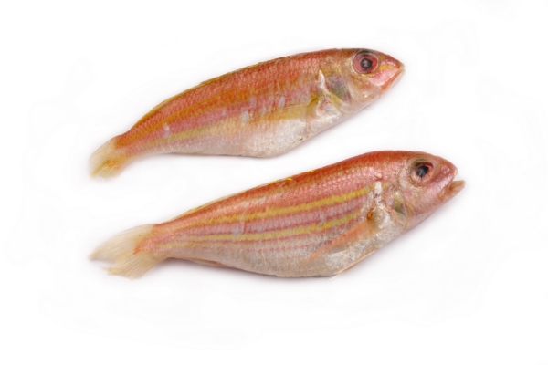 Ikan Kerisi Fish Kuala Lumpur (KL), Malaysia, Selangor, Rawang Supplier, Wholesaler, Supply, Supplies | Starlicious Sdn Bhd