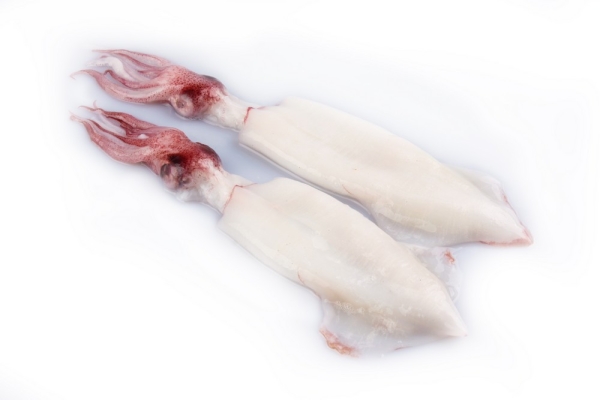 Squid Whole Clean (SWC) Squid Kuala Lumpur (KL), Malaysia, Selangor, Rawang Supplier, Wholesaler, Supply, Supplies | Starlicious Sdn Bhd