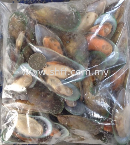 New Zealand Half Shell Mussel