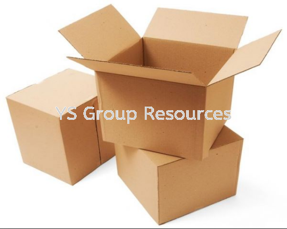Plain Carton Box Carton Box Malaysia, Selangor, Kuala Lumpur (KL), Shah Alam, Balakong Manufacturer, Supplier, Supply, Supplies | YS Group Resources