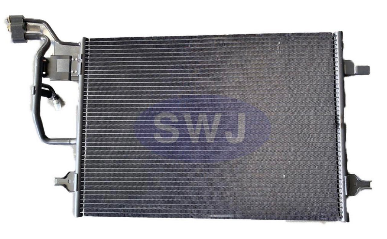 VW Passat (C) [SWJ-593]