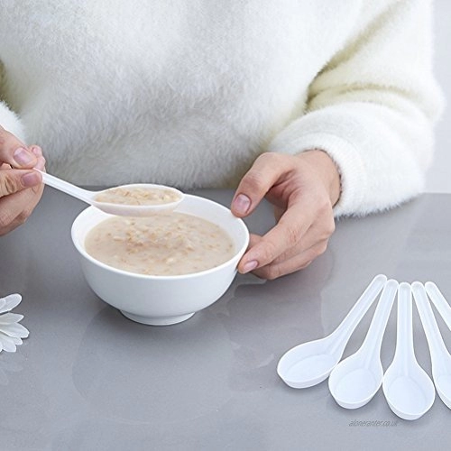 Plastic Spoon