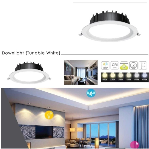 SJ SMART LED 10W DOWNLIGHT (TUNABLE WHITE)