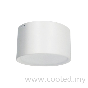 lumiSF1500 12W LED Surface Light