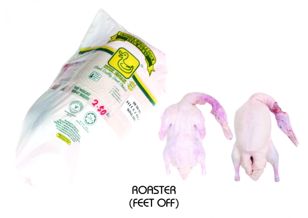 FROZEN WHOLE DUCK (ROASTER) Whole Duck ITIK ENAK Penang, Pulau Pinang, Malaysia Supplier, Suppliers, Supply, Supplies | PG Lean Hwa Trading Sdn Bhd