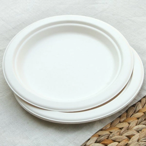 Sugar Cane Plate