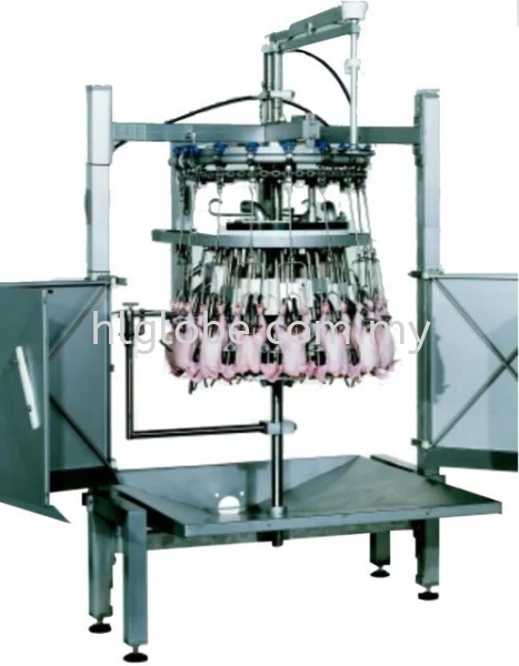 Auto Evisceration Inside Outside Washer Auto Evisceration Inside Outside Washer Poultry Machine Negeri Sembilan, Malaysia, Port Dickson Supplier, Suppliers, Supply, Supplies | HL Globe Solution Sdn Bhd