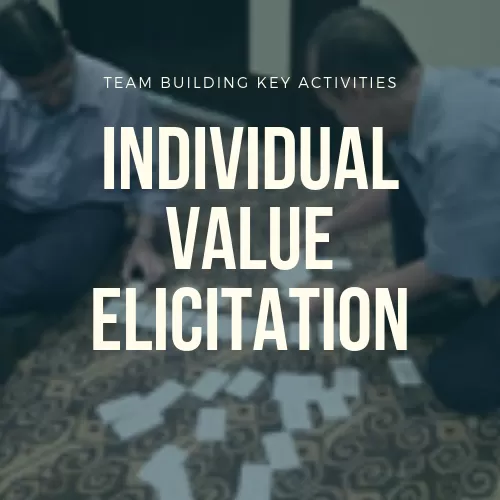 Individual Value Elicitation