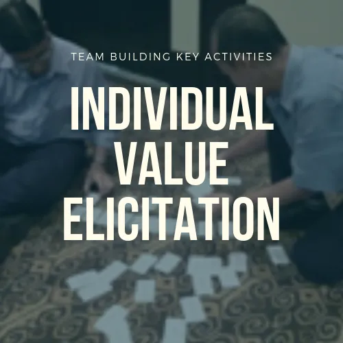 Individual Value Elicitation