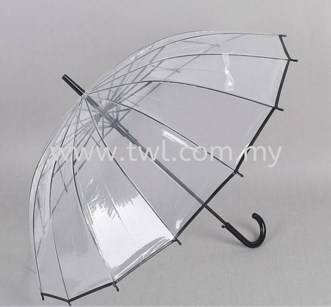 Transparent Umbrella