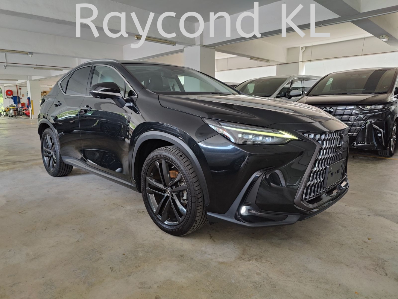 2023 LEXUS NX250 VERSION L (LUXURY) (1476)