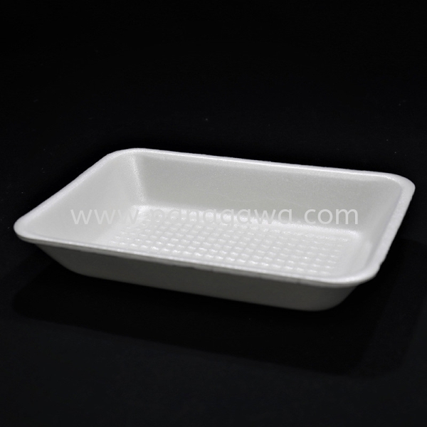 CP35 Tray Foam Products Johor Bahru (JB), Malaysia Manufacturer, Supplier, Provider, Distributor  | Panagawa Sdn. Bhd.